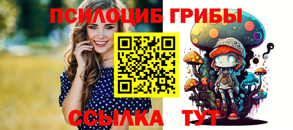 Псилоцибиновые грибы Psilocybine cubensis  Вход с VPN  Отрадное 