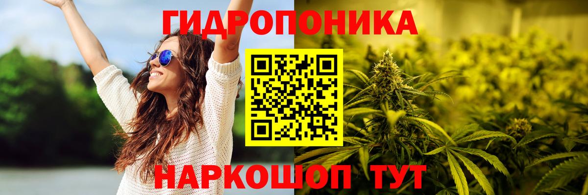 Шишки марихуана Ganja Отрадное